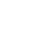 icon ApplicationServices