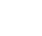 icon ITServices